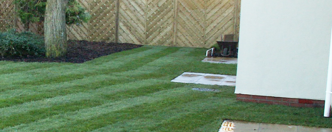 lawn